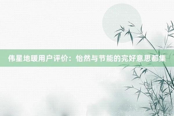 伟星地暖用户评价：怡然与节能的完好意思都集